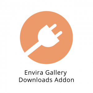 Envira Gallery Downloads Addon 1.2.0