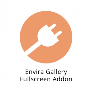 Envira Gallery Fullscreen Addon 1.1.0